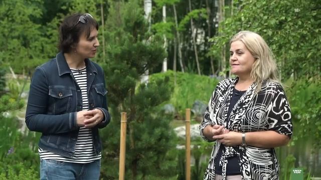 Сад мечты с прудом. Обзор сада смотреть онлайн