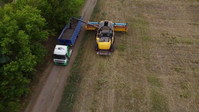 New Holland - Mavic Mini - Соняшник 2020 смотреть онлайн