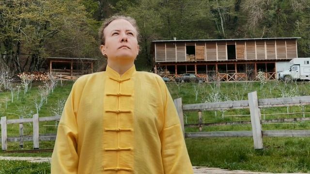 Отзыв о Черноморском Фестивале Оздоровительного Цигун 24-25 апреля 2021 г смотреть онлайн