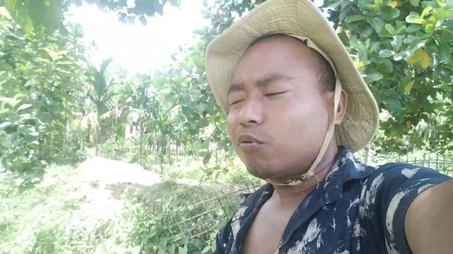 মুণ্ডন কৰি সুফল পালো / আভা ৰাভা আৰু লীনা দলেক গ্ৰেপ্তাৰ смотреть онлайн