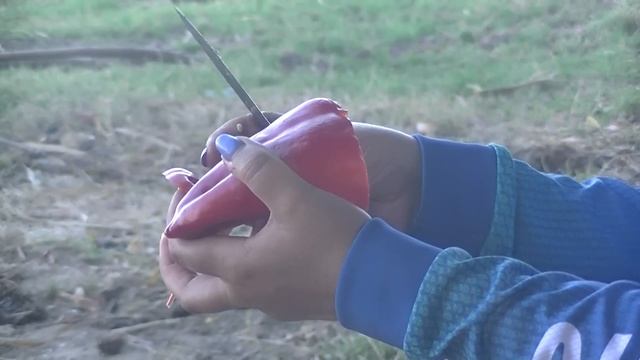 Что с этим сазанчиком случилось? Поход в дельту Рыбалка на островах Астрахань смотреть онлайн