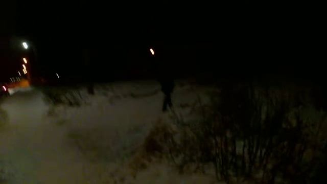 После Нового Года Пошел на Рыбалку ,думал (белочка) оказалось Собачка-инопланетянен! смотреть онлайн