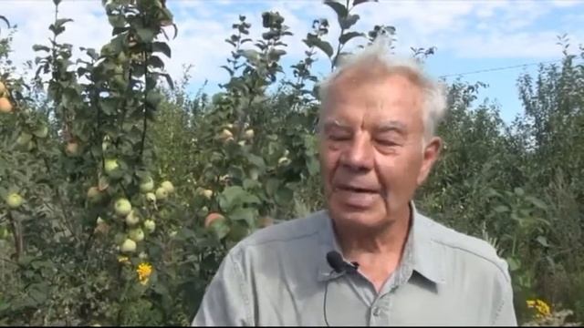 Зелёный остров Эфир:14-08-2017 смотреть онлайн