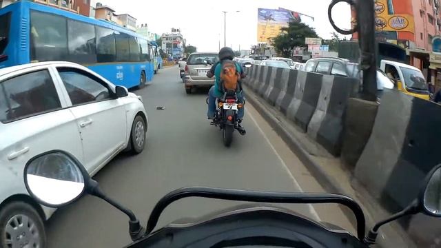 Royal Enfield vs Activa 4g ||Street Race||Daily Observation #55 смотреть онлайн