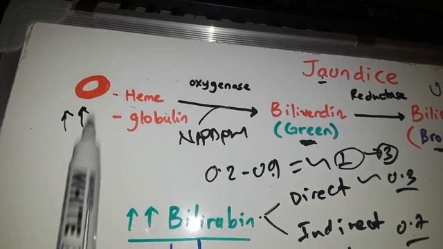 New Ethiopian Medical Lecture on Bilirubin medEthiopia Hyperbilirubinemia Jaundice በአማርኛ Lasredachu смотреть онлайн