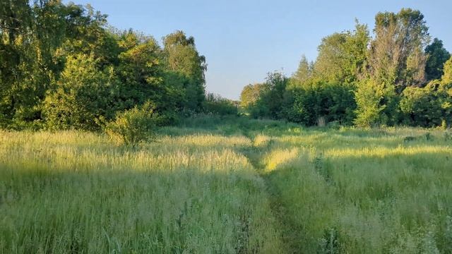 Категории мышления богатых и бедных. смотреть онлайн