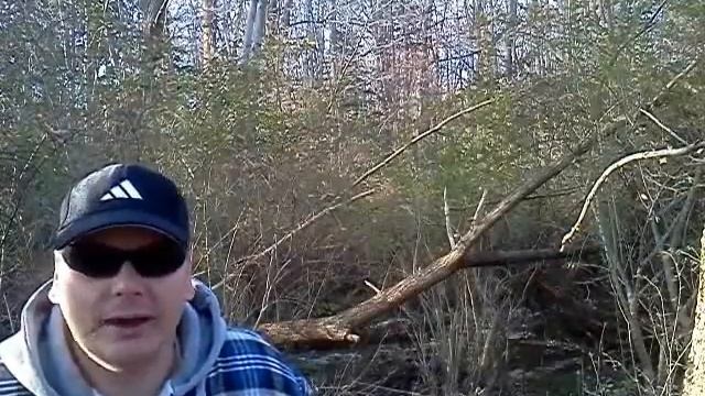 Стихии Бытия смотреть онлайн