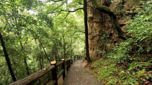 Горы Аватара, национальный парк Чжанцзяцзе