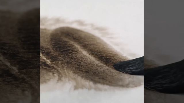 Акварель "Белые Ночи" Сепия 413, в кювете | ArterShop смотреть онлайн