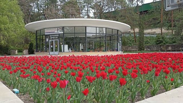 Новый инструментальный трек "Весна на бульваре". г. Кисловодск. смотреть онлайн