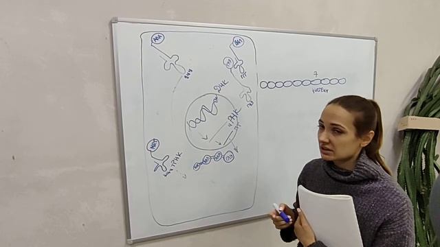 Разбор задачи 1