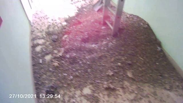 MOVI0088 смотреть онлайн