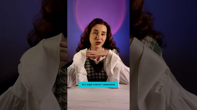 Делюсь лайфхаком как заработать на Озон в сезон😂 смотреть онлайн