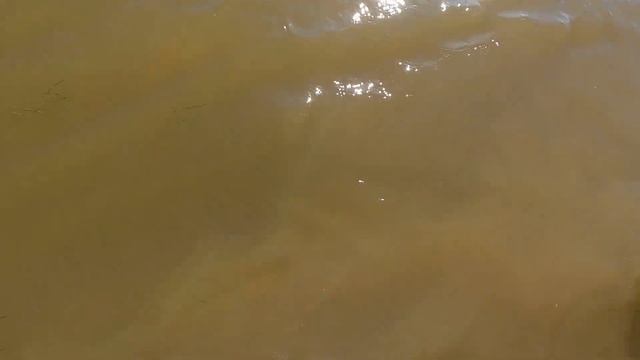 ДВОЕ СУТОК НА РЫБАЛКЕ В АСТРАХАНИ смотреть онлайн