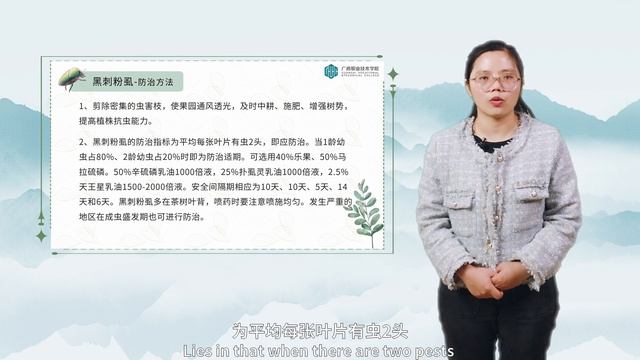 13. Understanding and control of whitefly pests 2 смотреть онлайн