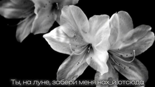 Фараон — сборник лиричных треков. Pharaoh смотреть онлайн