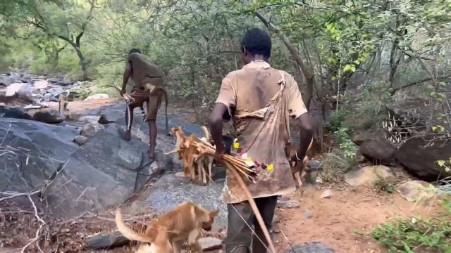 CAÇANDO Para SOBREVIVER Com Os Hadzas (documentário Completo)