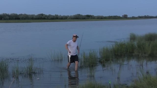 Насадка на сома под ногами Летняя рыбалка в Астрахани 2023 смотреть онлайн