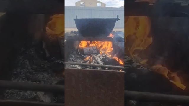 Свинные ребрышки с картошкой #рыбалкавастрахани #fishing #кухнянакостре смотреть онлайн