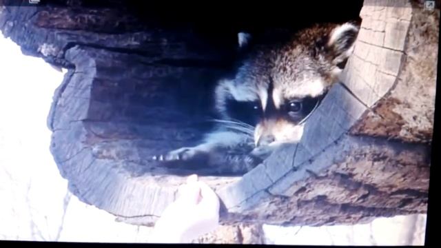 Культура бытия. смотреть онлайн