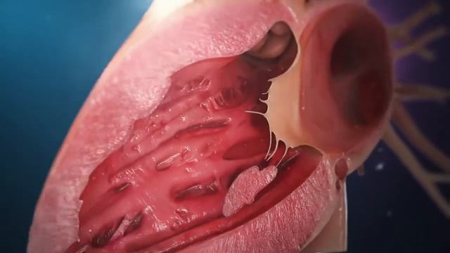 Human heart anatomy (3D Medical Animation) смотреть онлайн