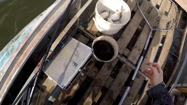 ПЕРВАЯ ВОБЛА В АСТРАХАНИ Стал свидетелем родов в поле смотреть онлайн