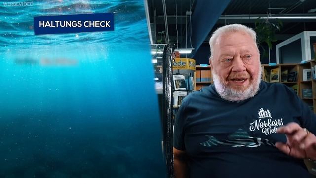 MONSTER IM AQUARIUM - ROTSCHWANZANTENNENWELS | FISCHENZYKLOPÄDIE | ZOO ZAJAC смотреть онлайн