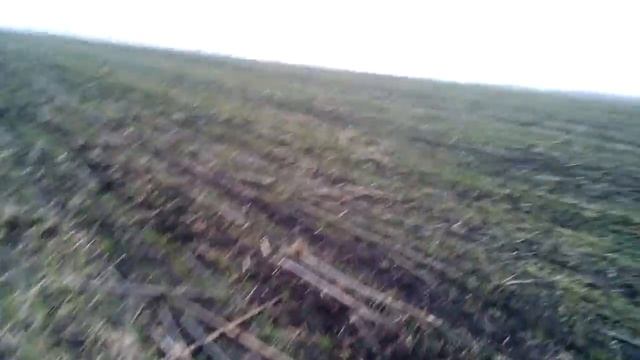 Состояние озимой пшеницы и борьба с грызунами смотреть онлайн