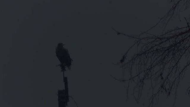 Первый выход на лед 2019. Ловля окуня в Астраханской области смотреть онлайн