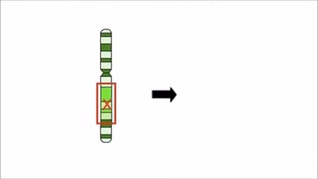 MinuteGenetics Video смотреть онлайн