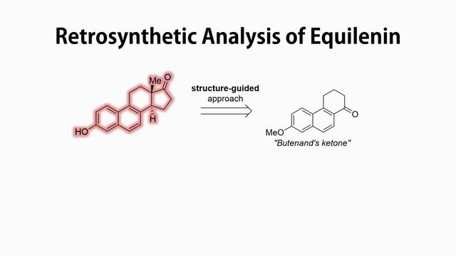 Organic Chemistry Walkthrough Steroid Total Synthesis: Equilenin, Retrosynthesis, Reaction Mechanis смотреть онлайн