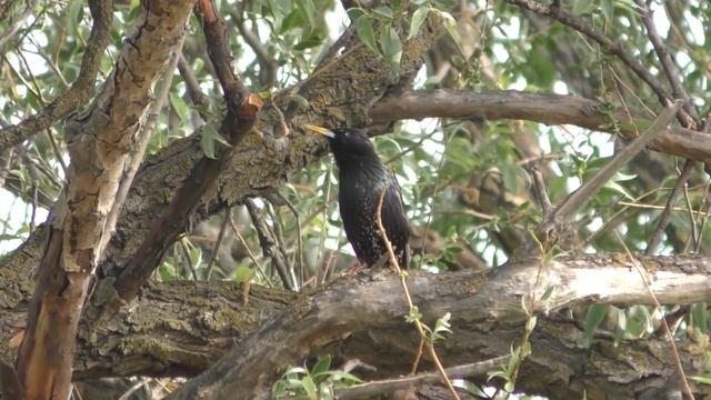 Майская рыбалка в Астрахани В деревне с сыном рыбачим смотреть онлайн