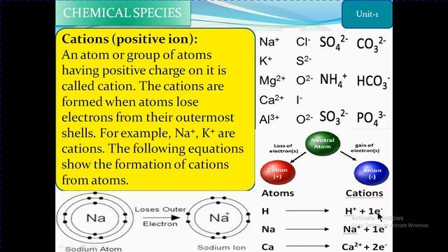Ion positive or negative Cation Anion Chy9 Chp1 Fundamentals of Chemistry Punb/Federal Board Urd/En смотреть онлайн