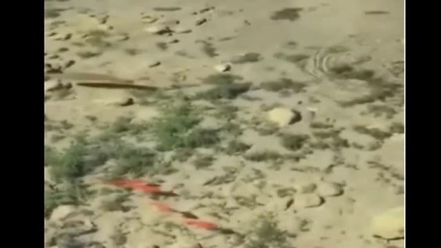 На ЧИСТОЙ ВОДЕ ! On CLEAN WATER ! смотреть онлайн