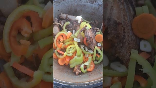 УТКА НА КОСТРЕ #рыбалкаастрахань #рыбалкавастраханскойобласти #ямашкин смотреть онлайн