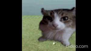 ТРЕК ПРО ИЛЬЮ