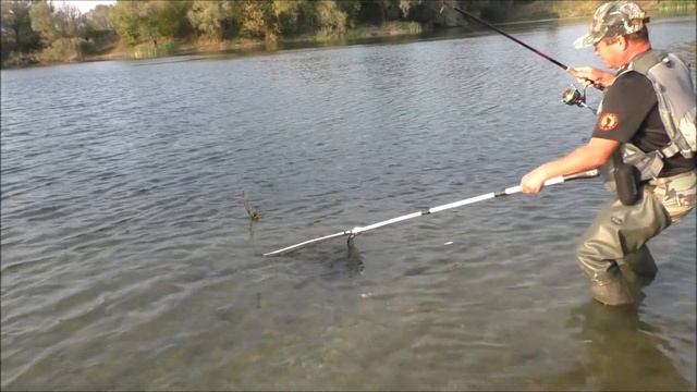 SZCZUPAKOWE GIERKI смотреть онлайн