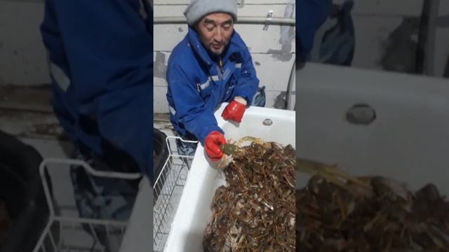 Рак речной Казахстан смотреть онлайн