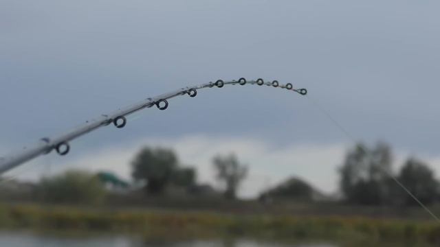 Осенняя рыбалка в Астрахани 2022 Какой способ и остнастка показали результат смотреть онлайн