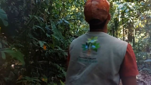 SANTUARIOS ÚNICOS DE FLORA Y FAUNA - EXPERIENCIA смотреть онлайн