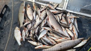 Рыбалка возле деревни