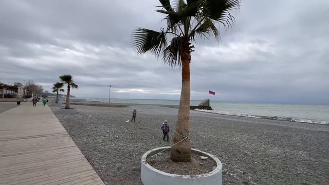 Сочи. Шторм. Поздравляем! смотреть онлайн
