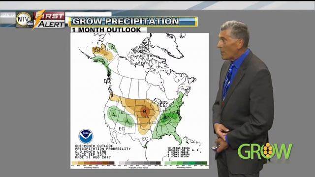 NTV's Grow: September 3, 2017 Segment 3 смотреть онлайн