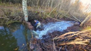 Строительство, разбираем завал в дренажном канале , что бы не образовывалось болото