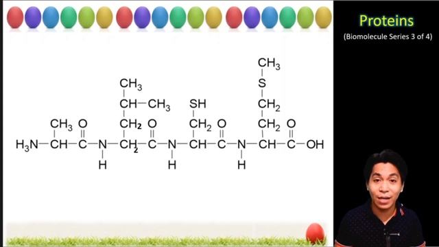 Proteins (3 of 4) смотреть онлайн