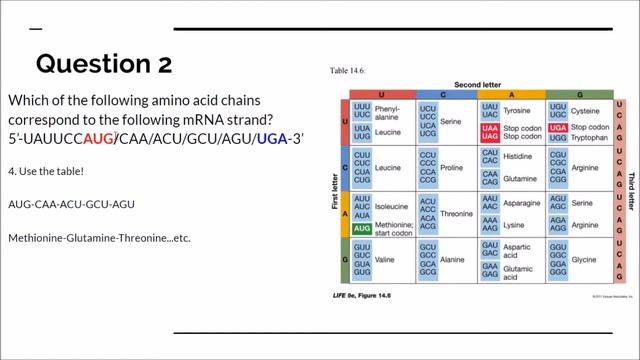 mRNA to Amino Acid Strand (Reading Tables) Review (BI 108) смотреть онлайн