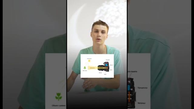 В чем отличие света в рекламе и кино? смотреть онлайн