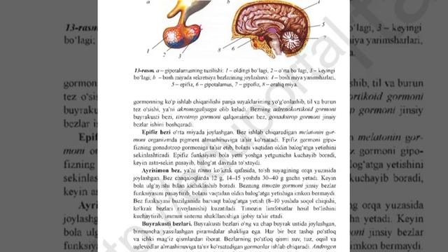 #biologiya #sekretsiya#bezlar
