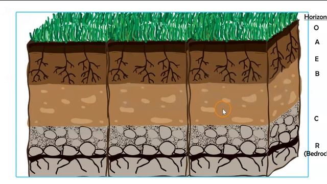 Soil Colloids: What Are They? смотреть онлайн