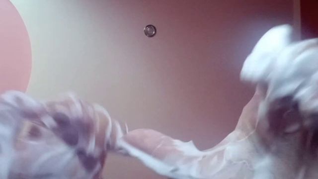 АСМР масаж піною.Допоможу розслабитися та заснути 😴 смотреть онлайн